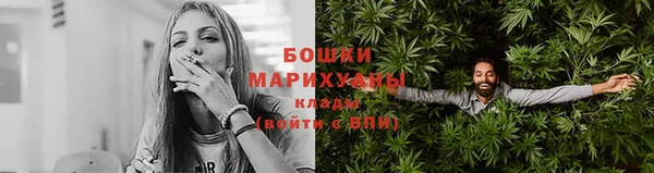 гашик Гусь-Хрустальный