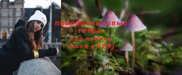 мескалин Гусиноозёрск