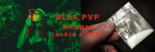 гашик Гусь-Хрустальный