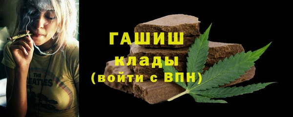 гашик Гусь-Хрустальный