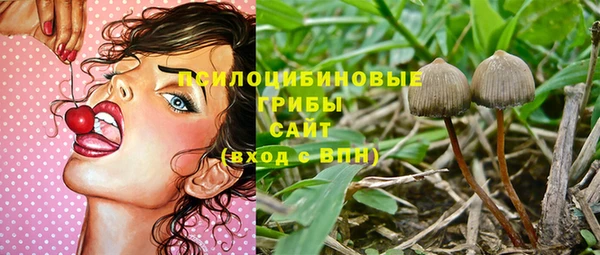 гашик Гусь-Хрустальный