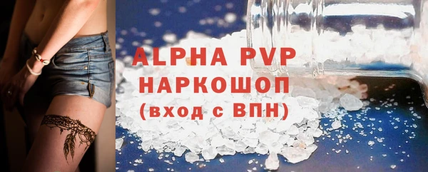 гашик Гусь-Хрустальный